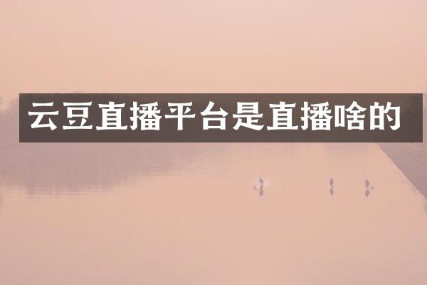 云豆直播平台是直播啥的