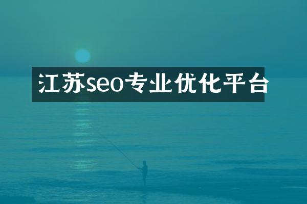 江苏seo专业优化平台