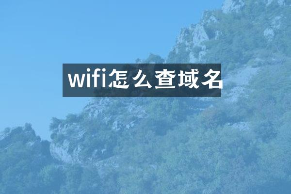 wifi怎么查域名