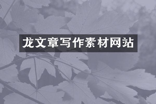 龙文章写作素材网站