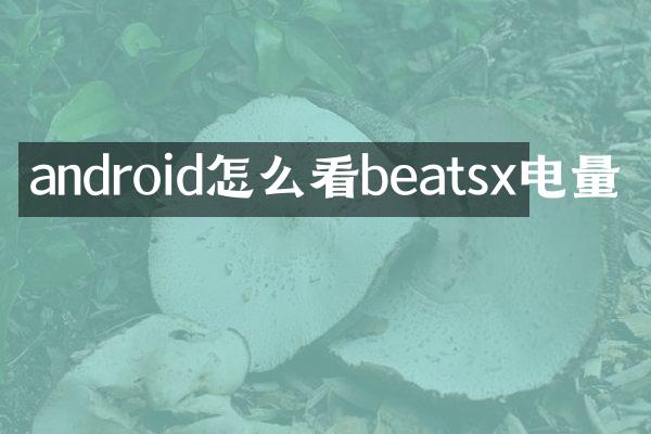android怎么看beatsx电量