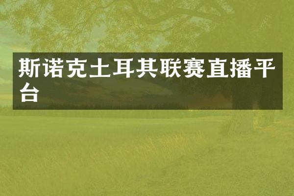 斯诺克土耳其联赛直播平台