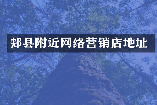 郏县附近网络营销店地址