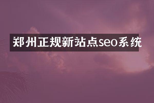 郑州正规新站点seo系统