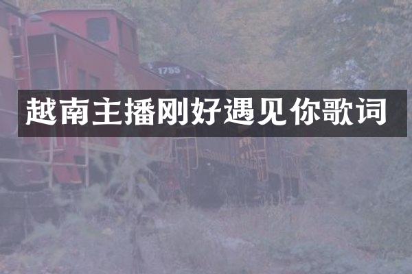 越南主播刚好遇见你歌词