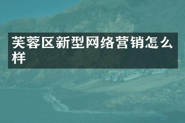 芙蓉区新型网络营销怎么样