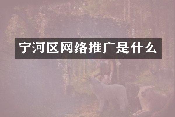 宁河区网络推广是什么
