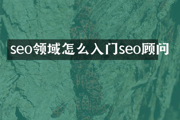 seo领域怎么入门seo顾问