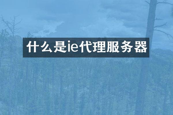 什么是ie代理服务器