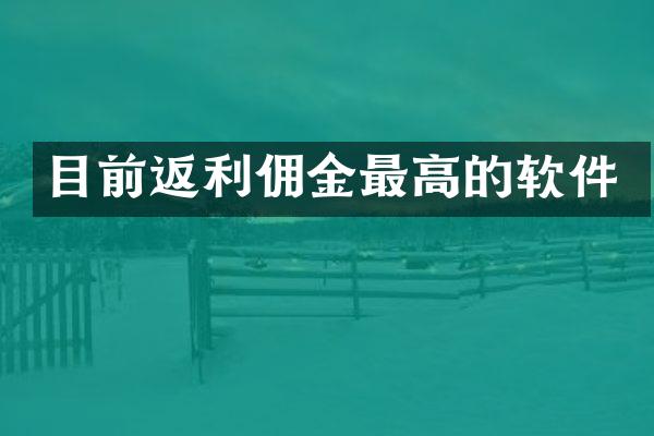 目前返利佣金最高的软件
