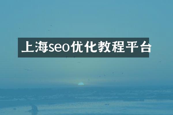 上海seo优化教程平台