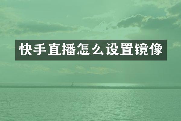 快手直播怎么设置镜像