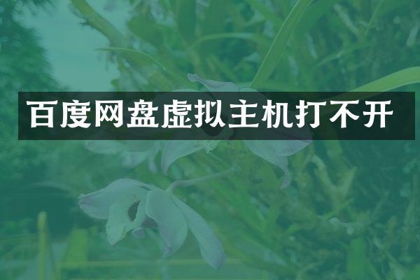 百度网盘虚拟主机打不开