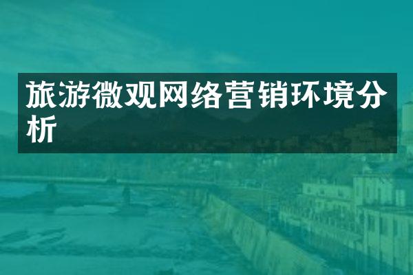 旅游微观网络营销环境分析