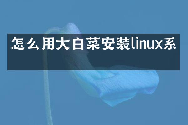 怎么用大白菜安装linux系统