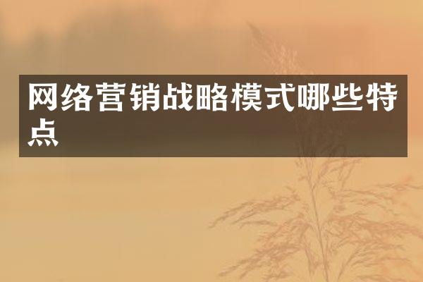 网络营销战略模式哪些特点