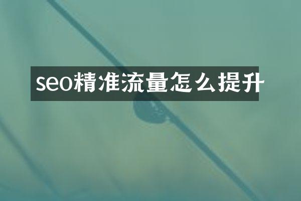 seo精准流量怎么提升