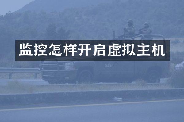 监控怎样开启虚拟主机
