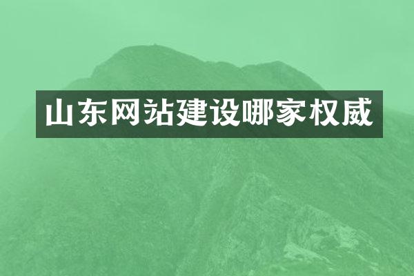 山东网站建设哪家权威