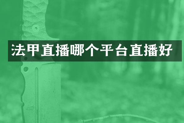 法甲直播哪个平台直播好
