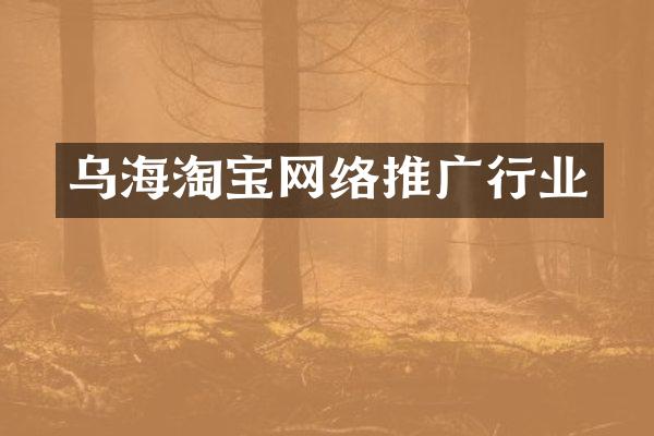 乌海淘宝网络推广行业