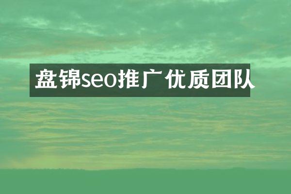 盘锦seo推广优质团队