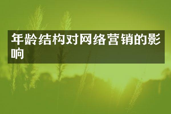 年龄结构对网络营销的影响