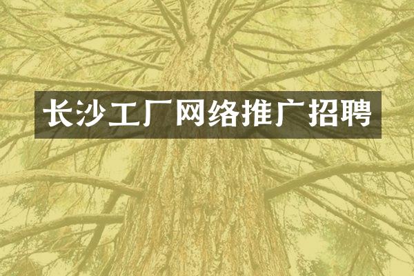 长沙工厂网络推广招聘