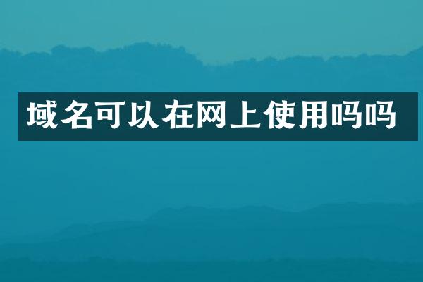 域名可以在网上使用吗吗