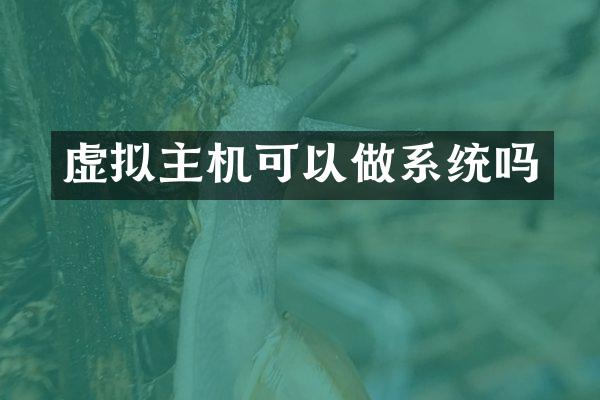 虚拟主机可以做系统吗