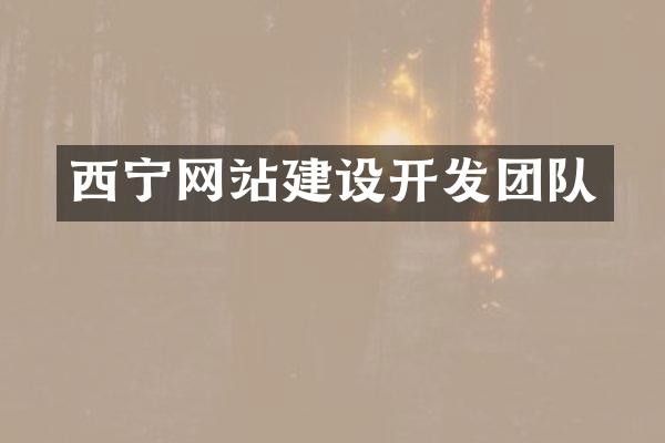 西宁网站建设开发团队