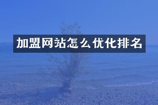 加盟网站怎么优化排名