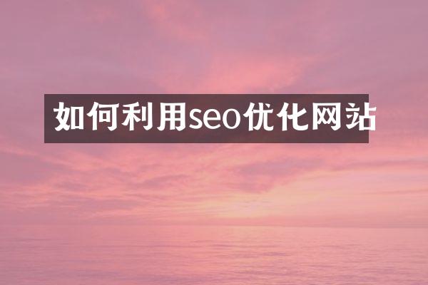 如何利用seo优化网站