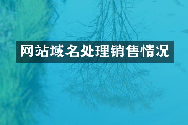 网站域名处理销售情况