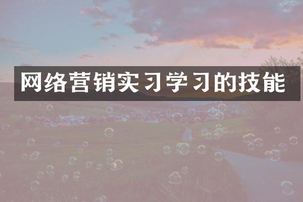 网络营销实习学习的技能