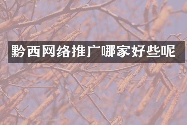 黔西网络推广哪家好些呢