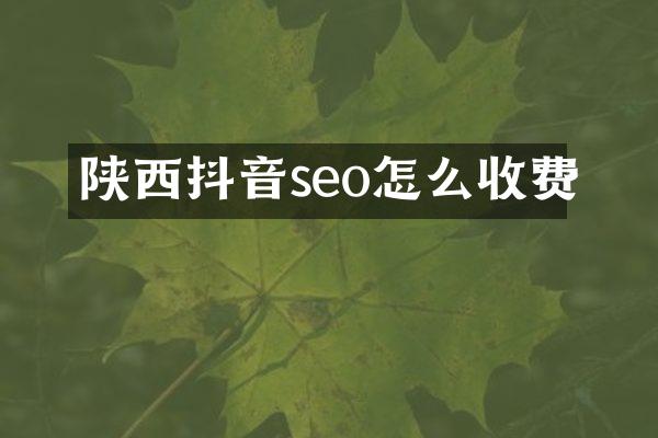 陕西抖音seo怎么收费