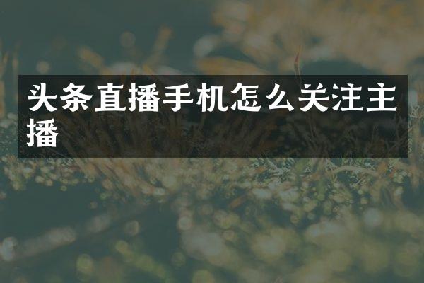 头条直播手机怎么关注主播