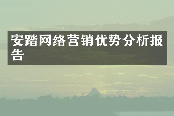 安踏网络营销优势分析报告