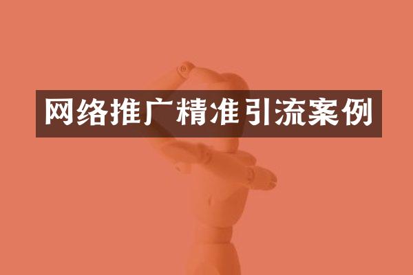 网络推广精准引流案例