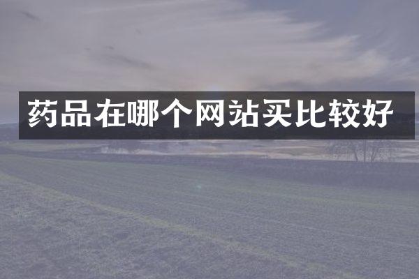 药品在哪个网站买比较好