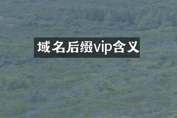 域名后缀vip含义