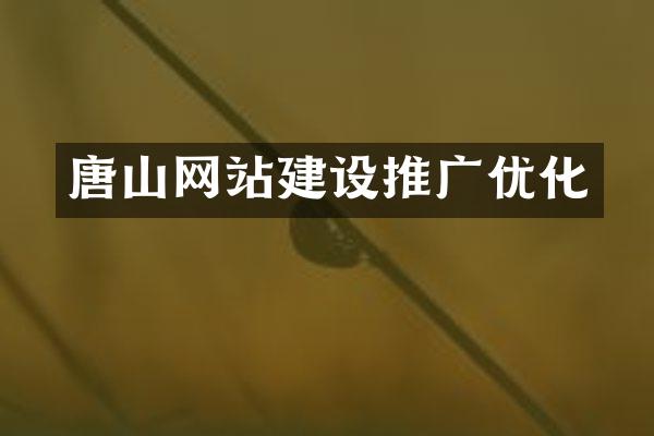 唐山网站建设推广优化