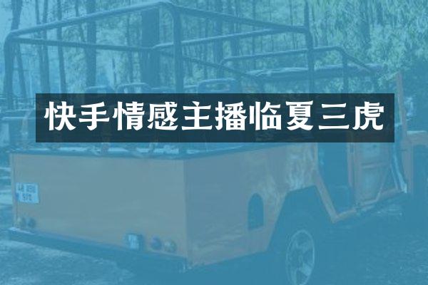 快手情感主播临夏三虎