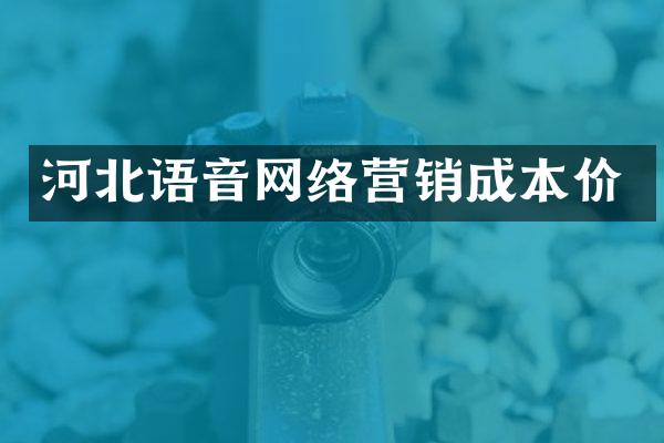 河北语音网络营销成本价