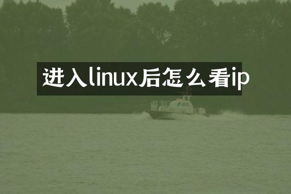 进入linux后怎么看ip