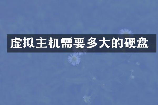 虚拟主机需要多大的硬盘
