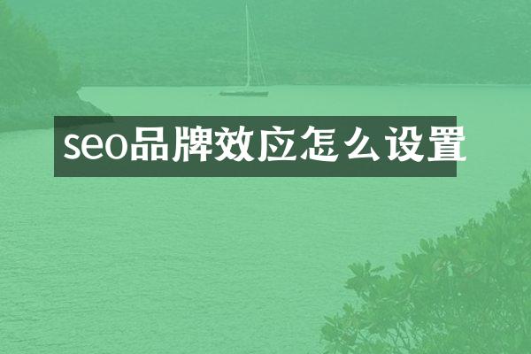 seo品牌效应怎么设置