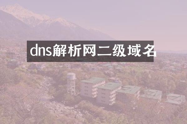 dns解析网二级域名
