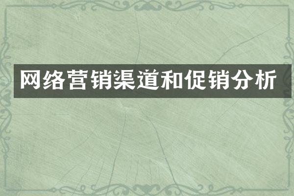 网络营销渠道和促销分析